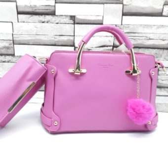 Dior 2 Pc Handbags in different colors