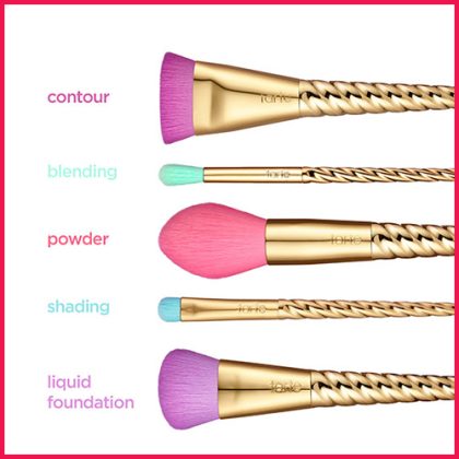 DL104-Fish-Brush-5-in-1-Beauty-Blender - Image 2