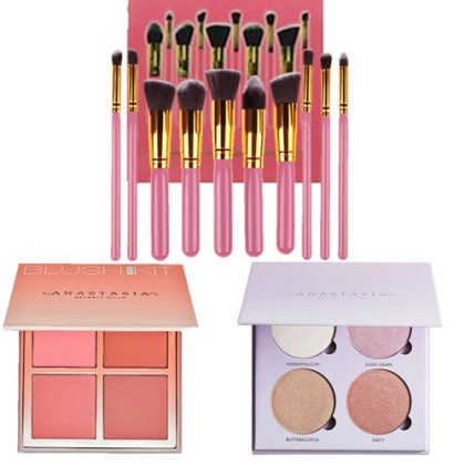 DL203 Anastasia Blush Glowkit Brushes