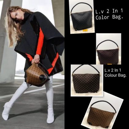 Louis Vuitton Triangle Softy Bag 2 In 1 Color Bag